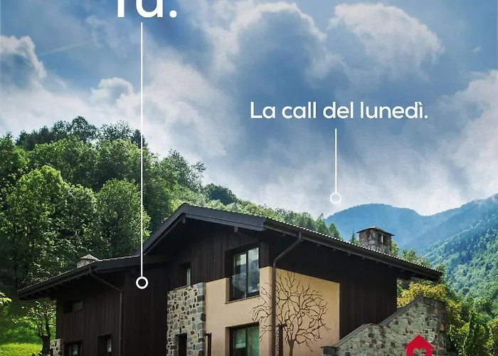 Quader Nidi Nel Verde